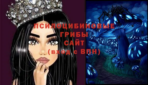 мяу мяу мука Осташков