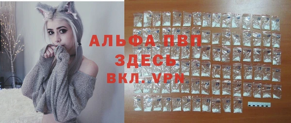 гашик Абаза